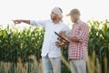 Two African and Indian farmers check the harvest in a corn field. Royalty Free Stock Photo