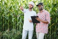 Two African and Indian farmers check the harvest in a corn field. Royalty Free Stock Photo