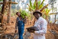 Two African peasants in the field while working, one with a bunch of plantains and the other with a tablet. Work in Africa in the