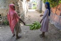 Two african young girls carry a bunch of green bananas on the street of Zanzibar island, Tanzania, East Africa