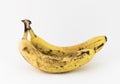 Two aged bananas Royalty Free Stock Photo