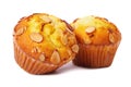 Two almond muffin cakes white background Royalty Free Stock Photo