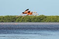 Two American aka Caribbean flamingos Phoenicopterus ruber flying over the lagoon of Celestun, Yucatan, Mexico