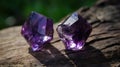 two amethysts sitting on a tree branch in the sun Royalty Free Stock Photo