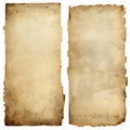 Two ancient paper scrolls on a clean white background