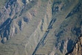 Two Andean Condors flying in the Colca canyon, the highland of Arequipa region, Peru Royalty Free Stock Photo