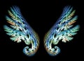 Two Angel Wings Royalty Free Stock Photo