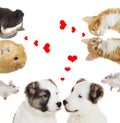 Two animals, valentines day Royalty Free Stock Photo