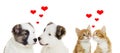 Two animals, valentines day Royalty Free Stock Photo