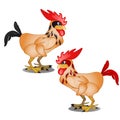 Two animated cartoon plucked rooster with black and red tail isolated on white background. Vector illustration.