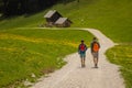 Two anonimous hikers strolling on a gravel path in a beautiful green valley with flowers and some cottages along the way