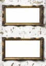 Two antique golden art fair gallery frames with metal decorations and blank copy space