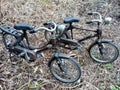 Two antique miniature bicycles classic parked on dead and yellowed grass