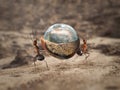 Two ants carrying a heavy load - a drop of water in a nut shell. Royalty Free Stock Photo