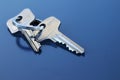 Two Apartment Keys with Ring Royalty Free Stock Photo