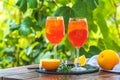 Two Aperol spritz cocktail in big wine glass with oranges, summer Italian fresh alcohol cold drink. Sunny garden with vineyard