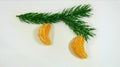 Two appetizing bright orange slices of tangerines hanging on a beautiful green branch of a fir tree on a white background. 7654