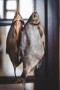 Two appetizing dried fish weigh on blurred background