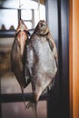 Two appetizing dried fish weigh on blurred background