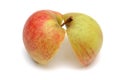 Two apple halves