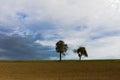 Two apple trees behind a plowed field Royalty Free Stock Photo