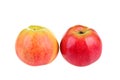 Two apples Royalty Free Stock Photo