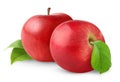 Two isolated apples Royalty Free Stock Photo