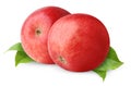 Two isolated red apples Royalty Free Stock Photo