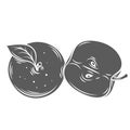 Two Apples Glyph Icon Royalty Free Stock Photo