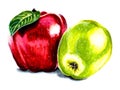 Two apples green and red with one green leaf isolated on white background.