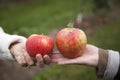 Two apples in ladies hands.