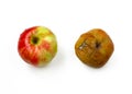 Two apples, ripe and rotten Royalty Free Stock Photo