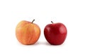 Two apples on white background Royalty Free Stock Photo