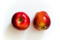 Two apples Royalty Free Stock Photo