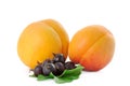 Two apricot and currant Royalty Free Stock Photo