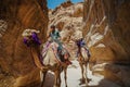 Two Arabic kids riding a camel in Petra with the high cliffs around it. Wide-angle.