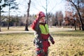 Arborist men standing against two big trees. The worker with helmet working at height on the trees. Lumberjack working with ch Royalty Free Stock Photo