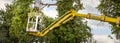 Unidentified arborist men in the air on yellow elevator, basket with controls, cutting off dead cherry tree