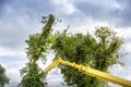 Unidentified arborist men in the air on yellow elevator, basket with controls, cutting off dead cherry tree Royalty Free Stock Photo