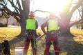 Two arborist men standing against two big trees. The worker with helmet working at height on the trees. Lumberjack working with ch Royalty Free Stock Photo