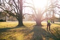 Two arborist men standing against two big trees. The worker with helmet working at height on the trees. Lumberjack working with ch