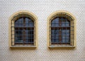 Two arched wooden windows protected by metal grilles Royalty Free Stock Photo