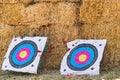 Two archery targets on a straw background Royalty Free Stock Photo