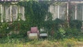 Two armchairs outdoor covered in plants
