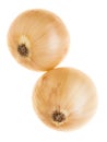 Two array onion