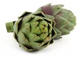 Two artichokes isolated on white Royalty Free Stock Photo