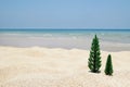 Two artificial Christmas trees on a sandy beach on the background of blue sea and sky Royalty Free Stock Photo