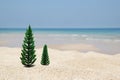 Two artificial Christmas trees on a sandy beach on the background of blue sea and sky. Royalty Free Stock Photo