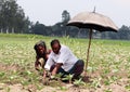 Two day laborers working with an umbrella above their heads