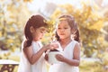 Two asian little child girls holding young tree in pot together Royalty Free Stock Photo